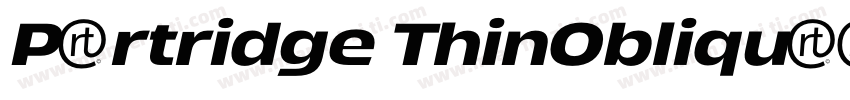 Partridge ThinObliqu字体转换